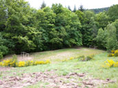 Jeunesse Heureuse Domaine de Lalaye