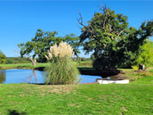 Domaine de Montillot