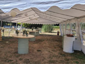 Domaine de Montillot