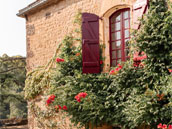 Domaine de la Pelinque