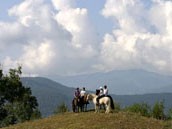 Domaine de Pommayrac