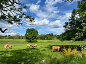 Domaine de la Rochette
