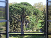 Domaine de La Salutière