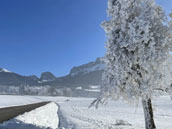 Domaine de la Sapinière