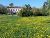 Domaine Sesquier