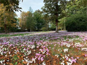 Domaine des Tilleuls