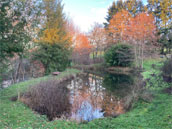 Domaine du Vierre