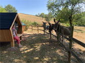 Domaine du Vierre