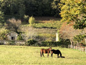 Maison de maître du Domaine du Vignau