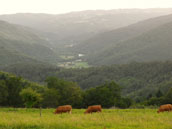 Domaine du Belvédère