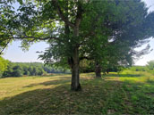 Les Gîtes du Bonheur