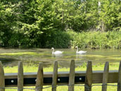 Le Gîte du Moulin