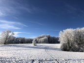 Les Gites du Sapey
