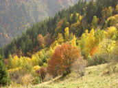 Gite de l'Eau Rousse