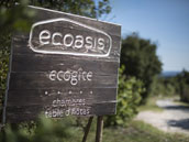 Ecoasis