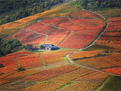 L'Ermitage de Brouilly