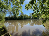 L'Etang des Oiseaux