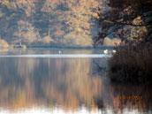 Les Etangs de Vaux