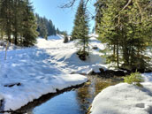 Chalet familial de Cuiseaux