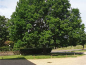 Gîte Ferme de l'Abondance