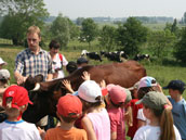 La Ferme Beck