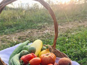 Gite de la ferme BioDiverse