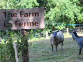 La Ferme du Cayla