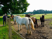 Ferme de la Dierge