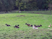 Gite de la Ferme d'Ecancourt