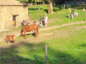 Ferme de la Jasse