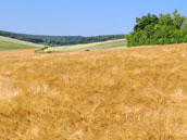 Ferme de la Renaissance