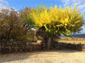 Ferme de Saint Gris