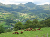 Ferme de Trielle