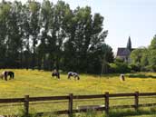 La Ferme du Vieux Château