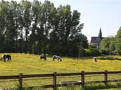 La Ferme du Vieux Château