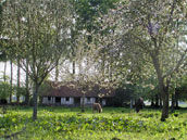 La ferme Dufresne