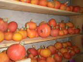 Ferme de la Gilbernie