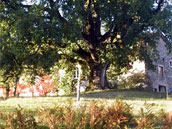 Ferme de la Gilbernie