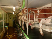 La Ferme de Grandris