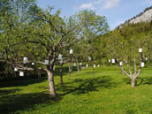 Le Gîte de la Ferme du Pré