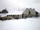 Gites de la ferme bio de They