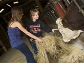 Gites de la ferme bio de They