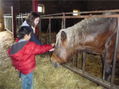 Gites de la ferme bio de They