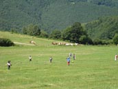 Ferme de la Truyère