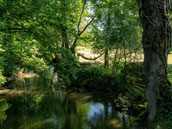 Le Dortoir de Flavigny