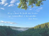 La Forêt
