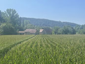 Le Four à Sel