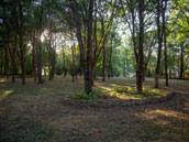 Domaine des Gelinières