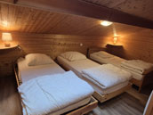 Géranium et Liseron