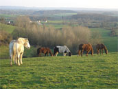 Domaine du Filovan - Grand gîte